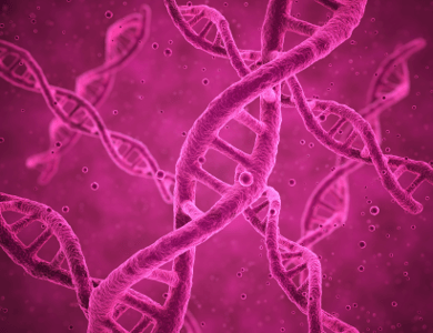 Purple DNA strands