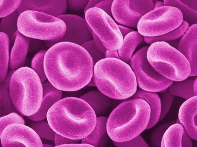 Blood Closeup