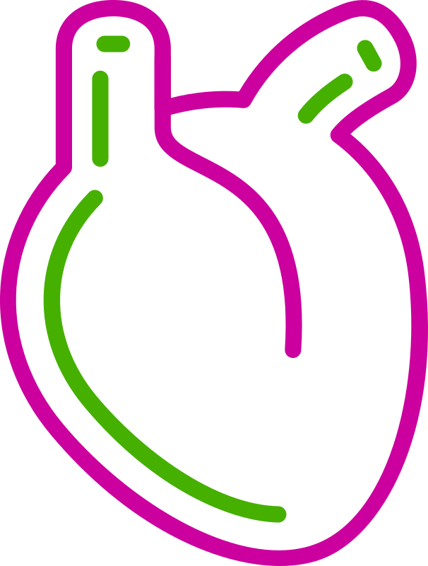 Cardio Renal Metabolic 