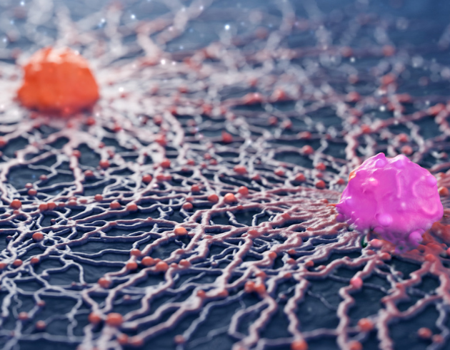 Digital Conversations Are Shaping Oncology—Here’s What We Learned