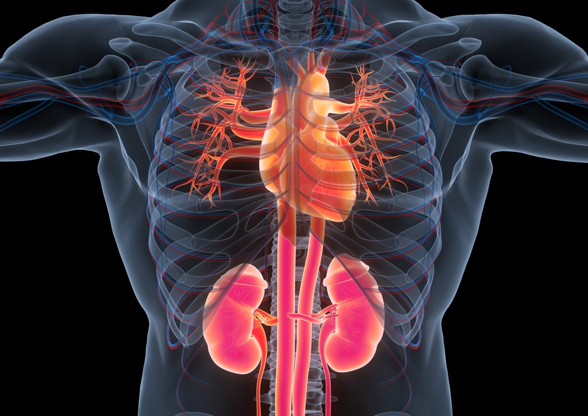 Why Cardiovascular-Kidney-Metabolic (CKM) Health Is a Top Priority for Payers—and What It Means for Manufacturers