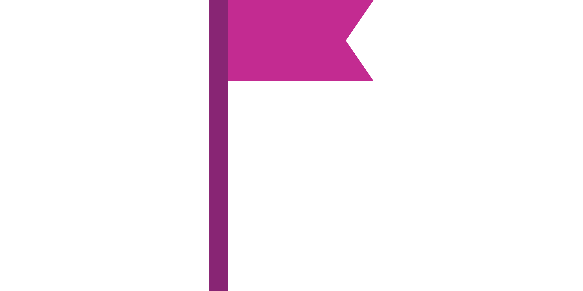 icon_flag